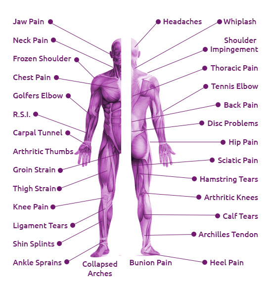 https://lotustherapynrc.co.uk/wp-content/uploads/2018/08/Sports-Massage-Therapy-Body-Parts-Labelled.jpg